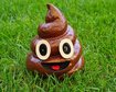 thumb-image-2024-02-29T14:06:30.542Z