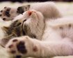 thumb-image-2024-02-29T14:06:31.468Z
