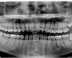 thumb-image-2024-02-29T14:06:31.381Z