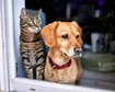 thumb-image-2024-02-29T14:06:32.062Z