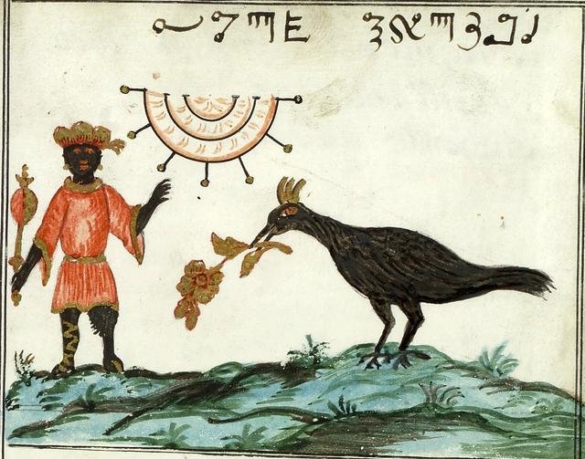 Maymon - o pássaro negro e rei do sul. (Fonte: The Appendix)