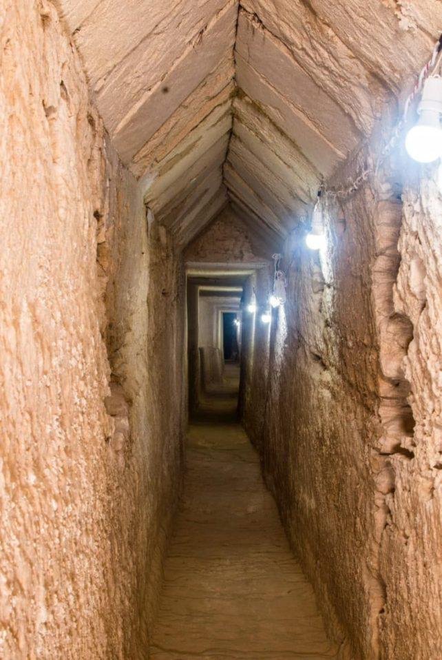 Túneis encontrados pelos pesquisadores. (Fonte: Science Alert)
