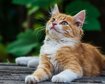 thumb-image-2024-02-29T14:06:32.812Z