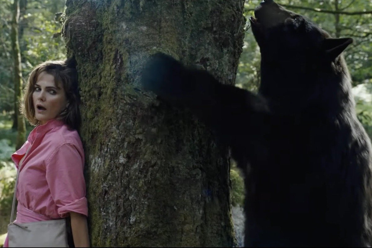 Urso do Pó Branco“: a história real do urso que ingeriu cocaína e inspirou  o filme