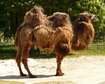thumb-image-2024-02-29T14:06:33.803Z
