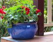 thumb-image-2024-02-29T14:06:34.997Z