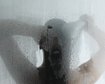 thumb-image-2024-02-29T14:06:34.550Z