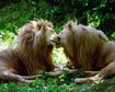 thumb-image-2024-02-29T14:06:34.662Z