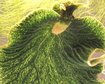 thumb-image-2024-02-29T14:06:35.877Z