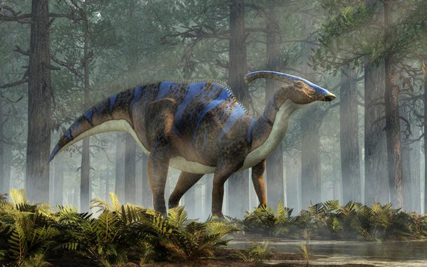 A crista dos halossauros os fazia produzir sons aterrorizantes. (Fonte: Shutterstock)