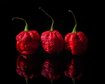 thumb-image-2024-02-29T14:06:35.802Z