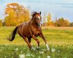 thumb-image-2024-02-29T14:06:35.918Z