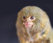 thumb-image-2024-02-29T14:06:37.251Z