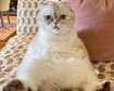 thumb-image-2024-02-29T14:06:37.351Z