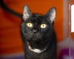 thumb-image-2024-02-29T14:06:37.562Z