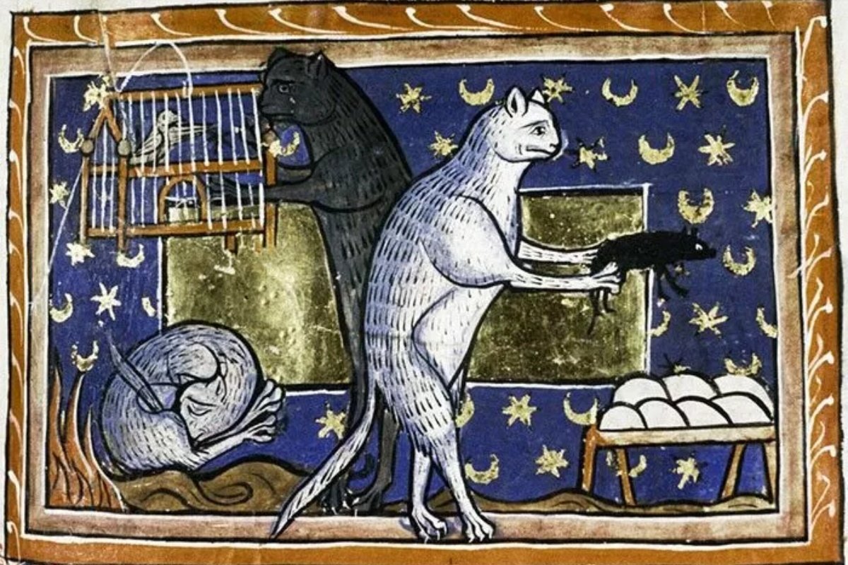 Os gatos na Idade Média – Animal Business Brasil