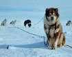 thumb-image-2024-02-29T14:06:40.727Z