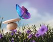 thumb-image-2024-02-29T14:06:39.142Z
