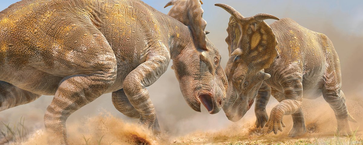 Dinossauros. Descoberto no Brasil o trisavô do T-Rex