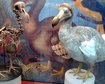 thumb-image-2024-02-29T14:06:40.507Z