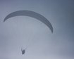 thumb-image-2024-02-29T14:06:40.604Z