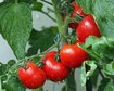 thumb-image-2024-02-29T14:06:41.770Z
