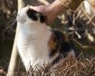 thumb-image-2024-02-29T14:06:41.261Z