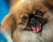 thumb-image-2024-02-29T14:06:41.463Z