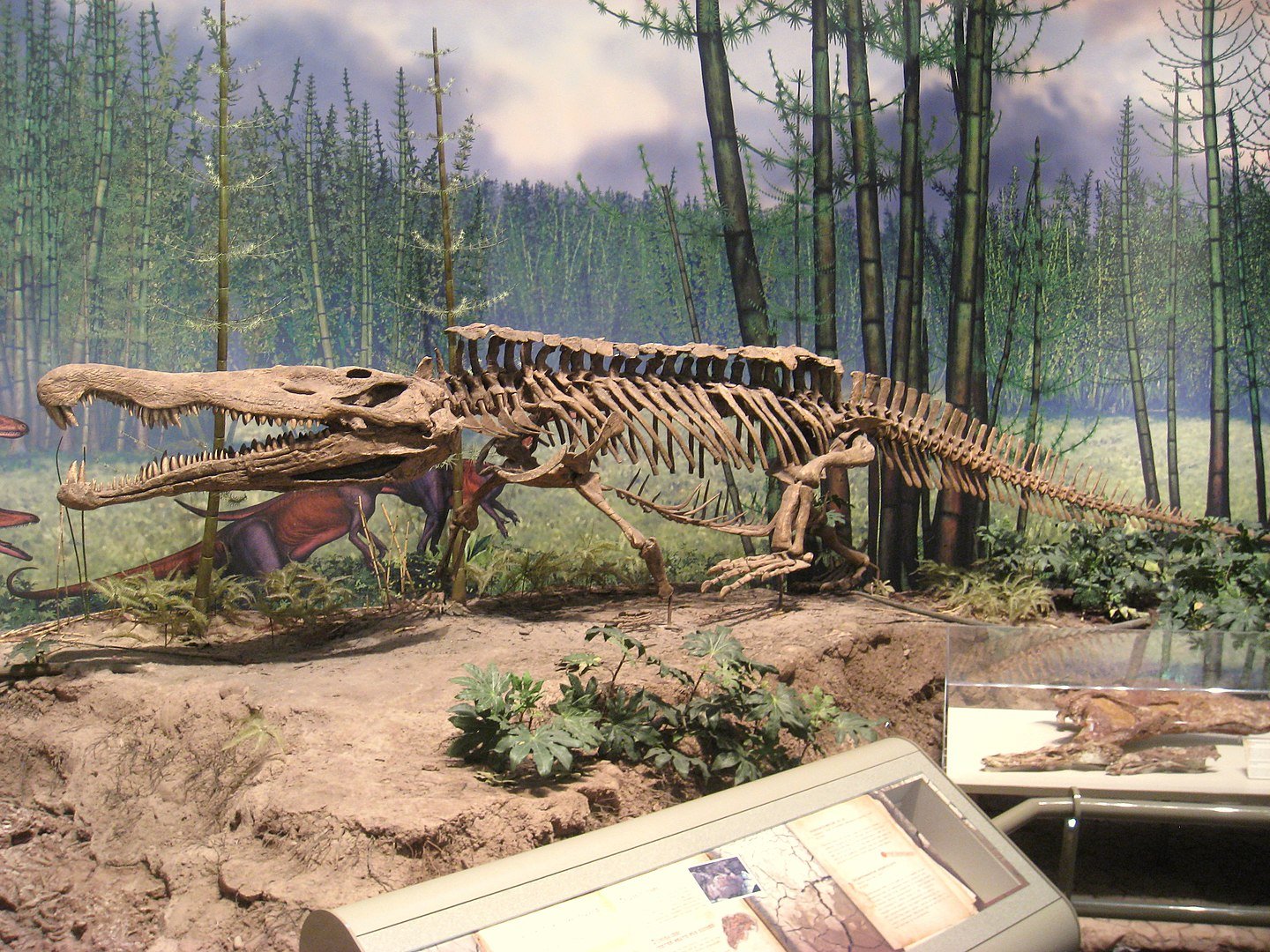 O Redondasaurus foi uma das espécies extintas há 200 milhões de anos. (Fonte: Wikimedia Commons)