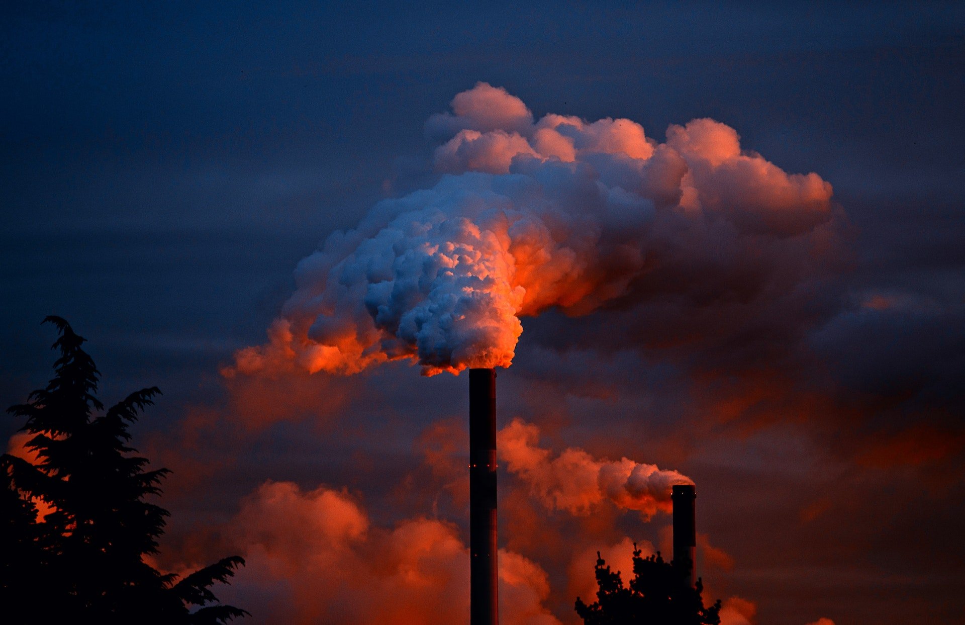 A poluição e o uso indiscriminado de recursos naturais estão causando a sexta extinção em massa. (Fonte: Pixabay)