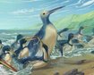thumb-image-2024-02-29T14:06:42.314Z