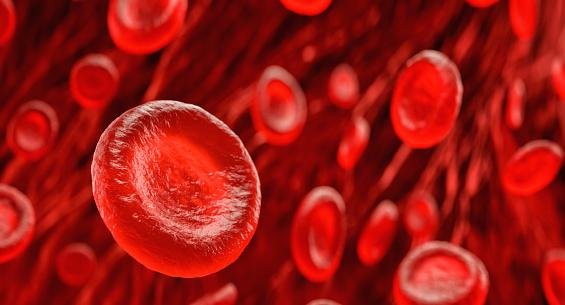 Células vermelhas - Hemoglobina - Responsável pela troca gasosa