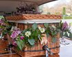 thumb-image-2024-02-29T14:06:44.560Z
