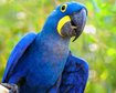thumb-image-2024-02-29T14:06:44.053Z