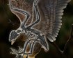 thumb-image-2024-02-29T14:06:43.077Z