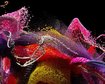 thumb-image-2024-02-29T14:06:44.878Z