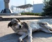 thumb-image-2024-02-29T14:06:44.284Z