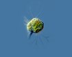 thumb-image-2024-02-29T14:06:45.678Z