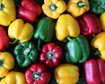 thumb-image-2024-02-29T14:06:44.664Z