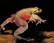 thumb-image-2024-02-29T14:06:44.700Z