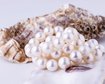 thumb-image-2024-02-29T14:06:45.176Z