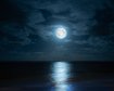 thumb-image-2024-02-29T14:06:45.223Z