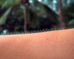 thumb-image-2024-02-29T14:06:45.352Z