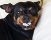 thumb-image-2024-02-29T14:06:45.454Z