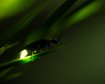 thumb-image-2024-02-29T14:06:46.199Z