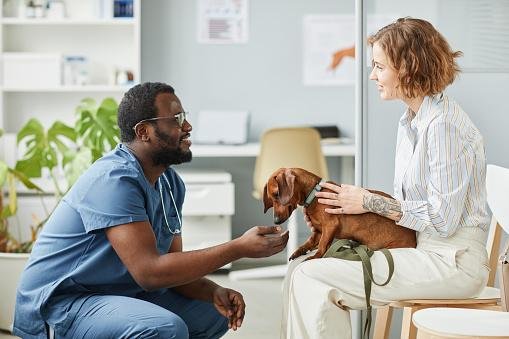 Em casos mais graves, um veterinário deve ser consultado. (Fonte: Getty Images/Reprodução)