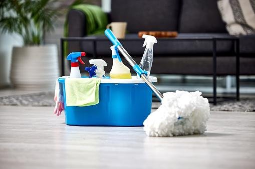 A limpeza pode ser uma grande aliada de donos alérgicos. (Fonte: Getty Images)
