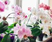 thumb-image-2024-02-29T14:06:48.040Z