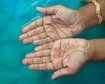 thumb-image-2024-02-29T14:06:47.526Z