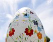 thumb-image-2024-02-29T14:06:47.516Z
